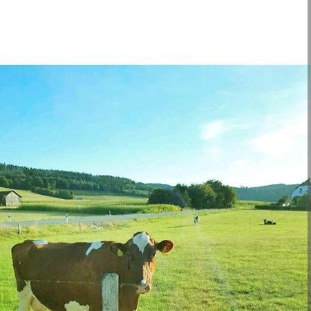 4 Erw. 1 Ki. Ski Entspannung Terasse Ausblick Schmallenberg Exterior foto